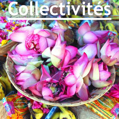 Collectivités